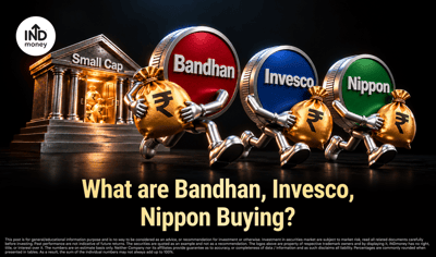 Small Cap Funds Get ₹9,039 Crore in September. What Are Bandhan, Invesco and Nippon Buying?  image