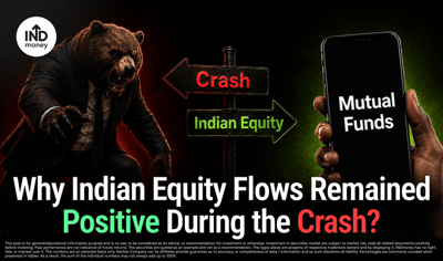 How SIPs and DIIs Stabilised the Indian Market? image