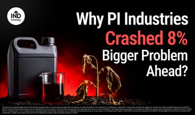 PI Industries Share Crash: Why Is It Struggling Despite Being a Strong Business? image