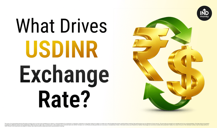 What Drives the USDINR Exchange Rate? What Drives the USDINR Exchange Rate?