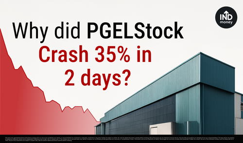 Why PG Electroplast Share Is Falling? Weak Management Guidance?